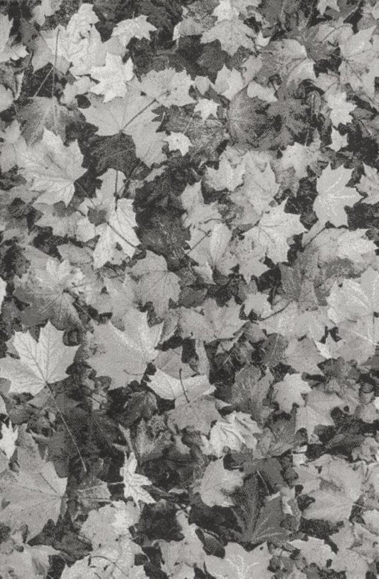 Acrílica, Diseño Floral, Moderna, Tacto Suave 255